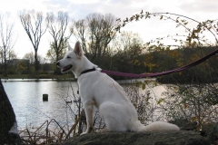 2002-11-03 Max-Eyth-See 003
