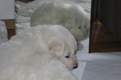 20070208221008