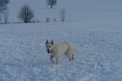 20081215155830