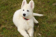 Auf dem Eisberg mit Gabi 068