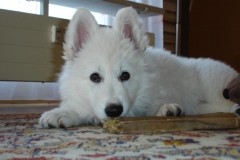 Ciara 9 Wo. Eyka 1 Jahr 021