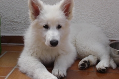 Ciara u Eyka Ostern 07 016