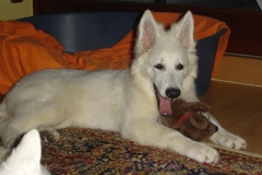 Eyka u Ciara 21 Mai 006