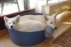 Karfreitag 7.04.07 037