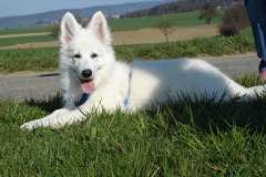 Karfreitag 7.04.07 056