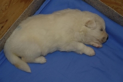20080404175908