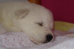 20080412170410