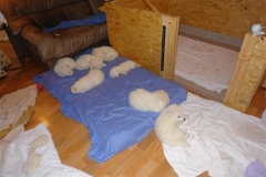 20080417220630