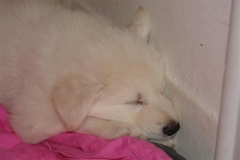 20080426232910