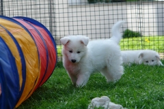 20080503172928