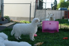 20080508180326