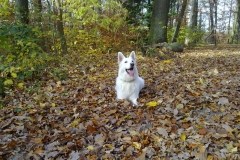 hallo 014