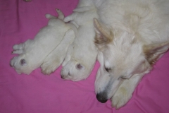 20090429150454