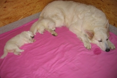 20090506173914