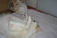 20090520094138