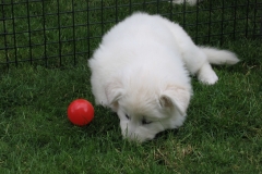 20090606155418