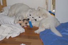 20090606183042