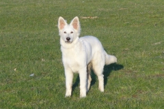 Dsc03700