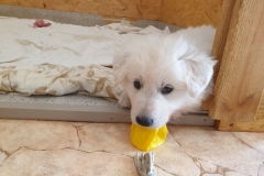 20190726_173933