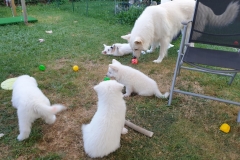 20190729_195104