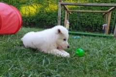 20190729_195142