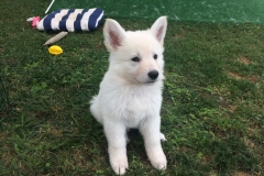 20190801_130504