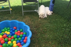 20190801_131151