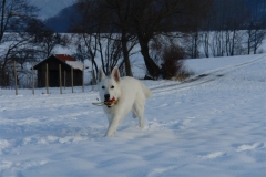 20081215153358