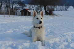 20081215153500