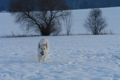 20081215153858