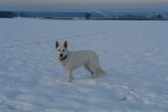 20081215155854