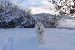 DSC00859