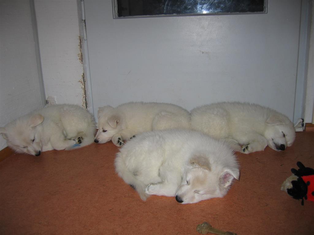 20051231212038