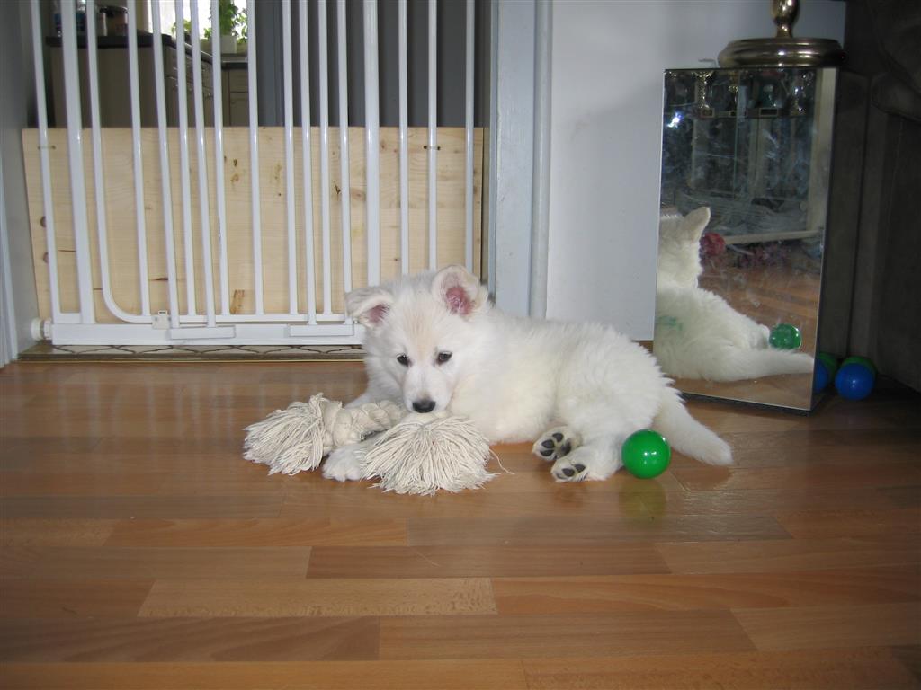 20070301142428